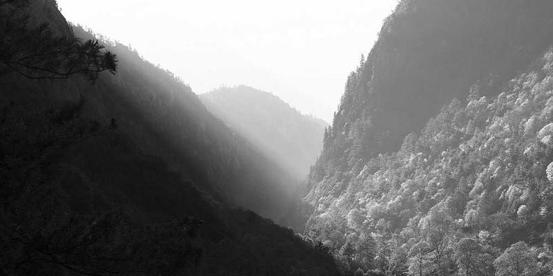 寂静岭